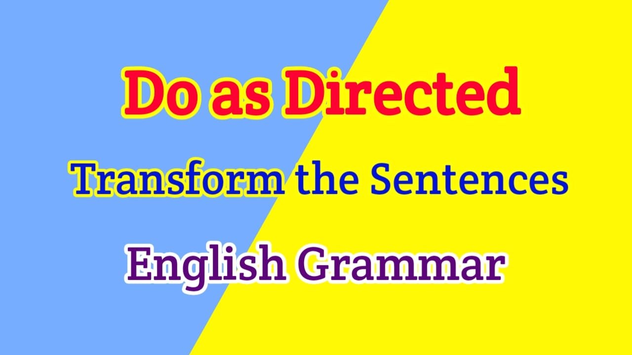 transform-the-sentences-as-do-as-directed