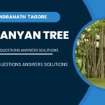 The Banyan Tree Summary and Questions Answers Solutions
